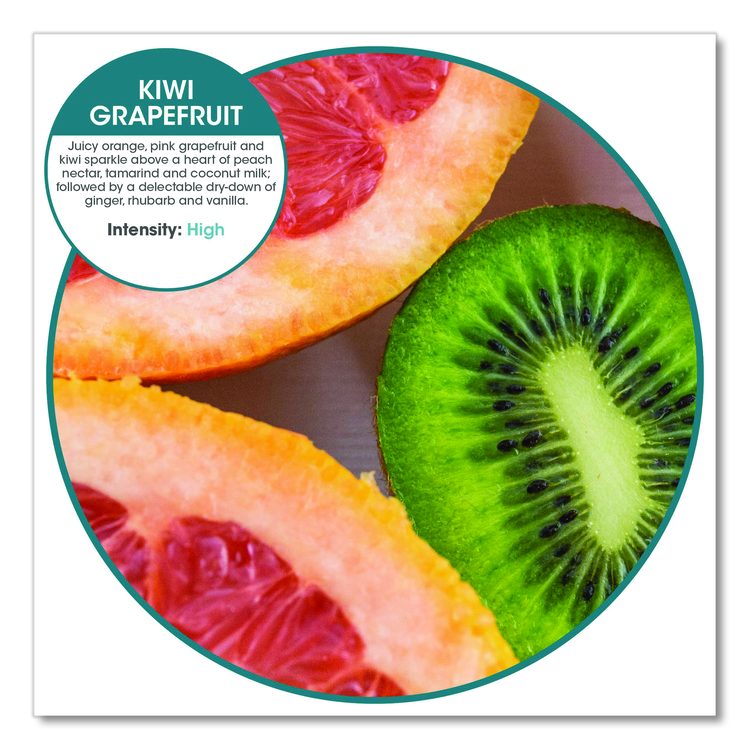 ourfresh Airfreshener, Kiwi Grapefruit, 8/Box