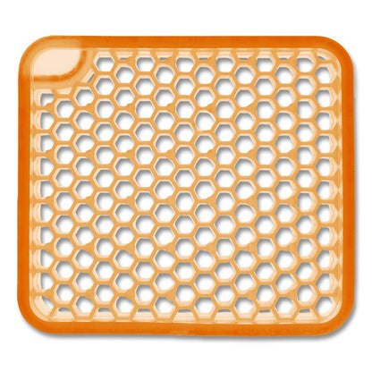 ourfreshE Refills, Summer Sunshine, 6/Box