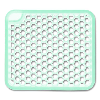 ourfreshE Refills, Spa Minerals, 6/Box