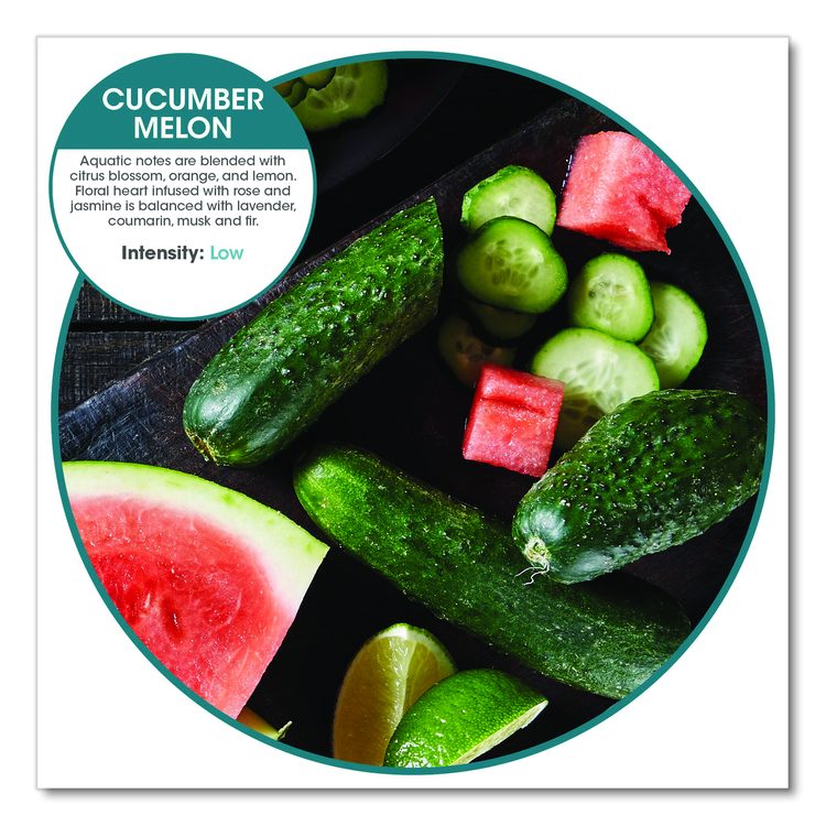 ourfreshE Refills, Cucumber Melon, 6/Box