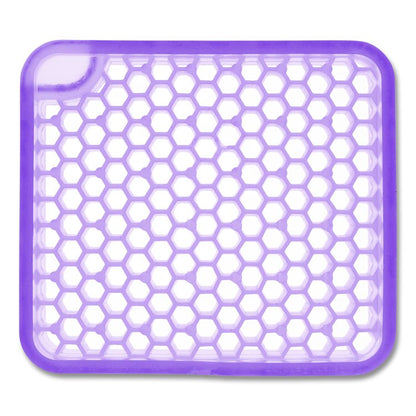 ourfreshE Refills, Morning Lavender, 6/Box