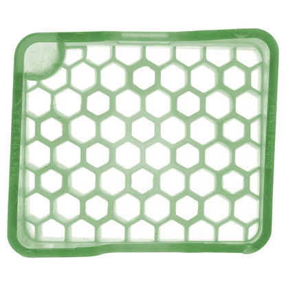 myfresh Refills, Cucumber Melon, 36/Carton
