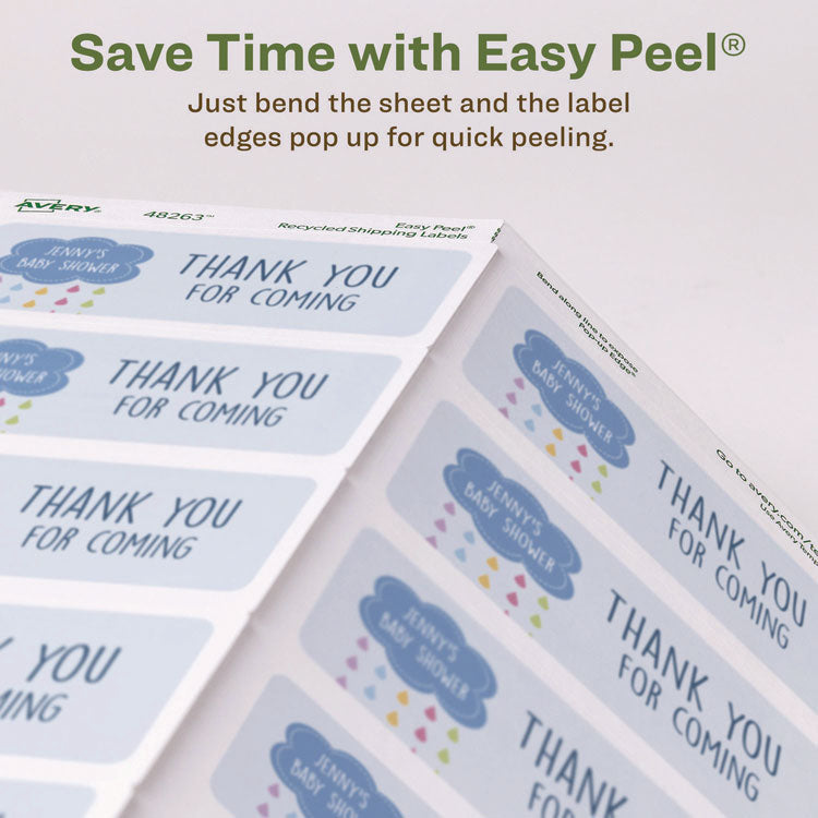 EcoFriendly Mailing Labels, Inkjet/Laser Printers, 2 x 4, White, 10/Sheet, 25 Sheets/Pack