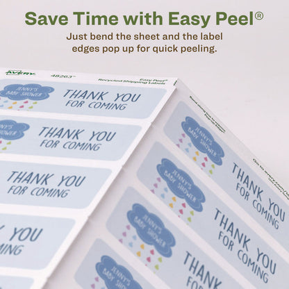 EcoFriendly Mailing Labels, Inkjet/Laser Printers, 2 x 4, White, 10/Sheet, 25 Sheets/Pack