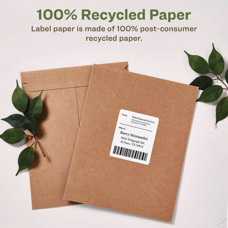 EcoFriendly Mailing Labels, Inkjet/Laser Printers, 3.33 x 4, White, 6/Sheet, 100 Sheets/Pack