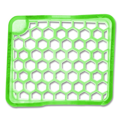 myfresh Refills, Cucumber Melon, 6 Refills