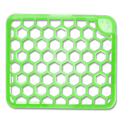 myfresh Refills, Cucumber Melon, 6 Refills