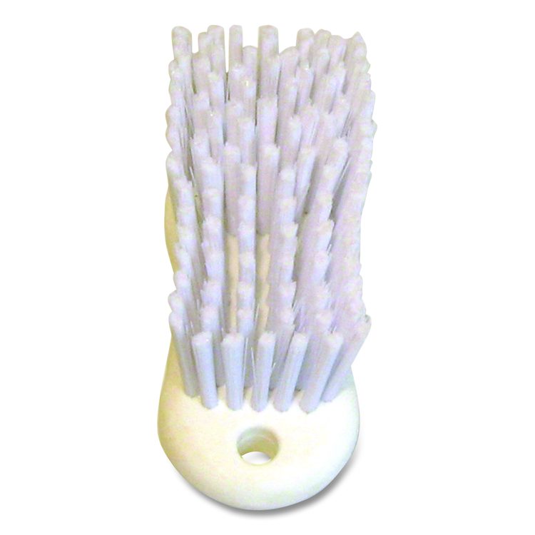 Scrub Brush, White Polypropylene Bristles, 6" Brush, 6" Handle