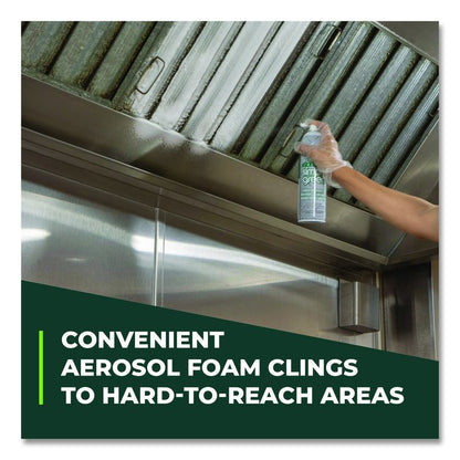 Foaming Crystal Industrial Cleaner and Degreaser, 20 oz Aerosol Spray, 12/Carton