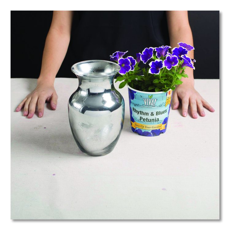 Specialty Mirror Effect Spray Paint, High Gloss Mirror, 6 oz Aerosol Can
