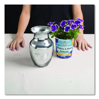 Specialty Mirror Effect Spray Paint, High Gloss Mirror, 6 oz Aerosol Can
