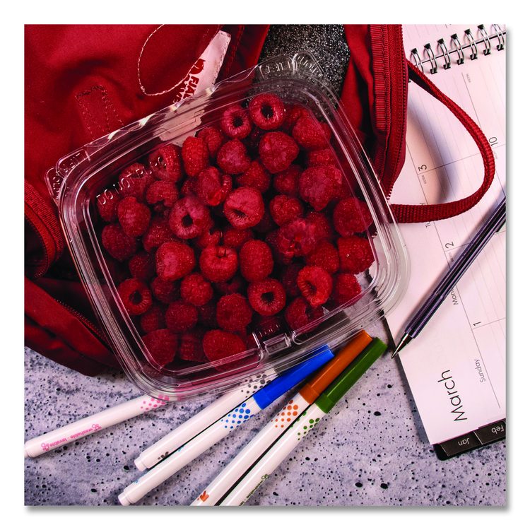 ClearPac SafeSeal rPET Tamper-Resistant/Evident Containers, Embossed Bottom, 24 oz, 6.37 x 7.15 x 1.86, Clear, 200/Carton