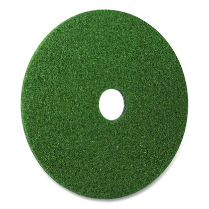 Black Diamond 3000 Grit Diamond Pad, 14" Diameter, Black/Green, 2/Carton