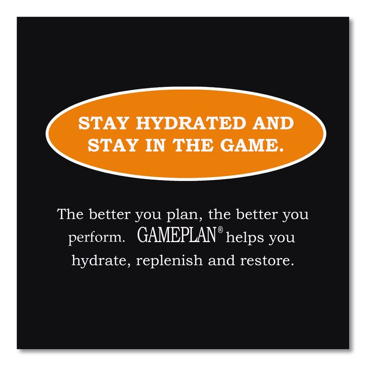 Gameplan Sports Drink, Orange, 20 oz Bottle, 24/Carton