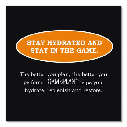 Gameplan Sports Drink, Orange, 20 oz Bottle, 24/Carton