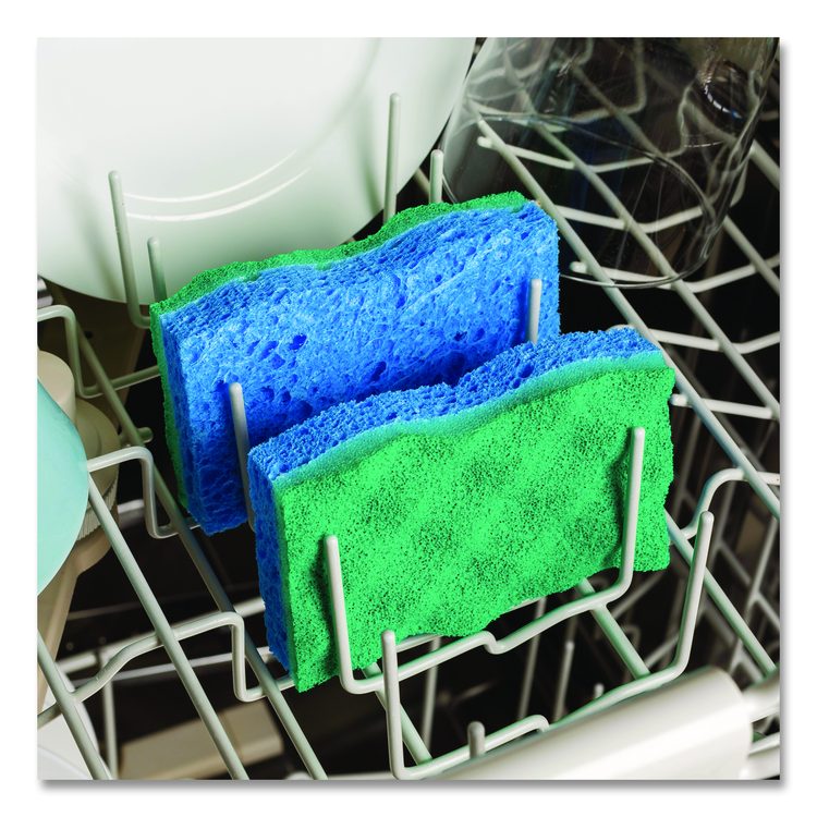 Scrunge Non-Scratch Scrub Sponge, 2.63 x 4.25, 1" Thick, Green/Blue, 2/Pack, 8 Packs/Carton