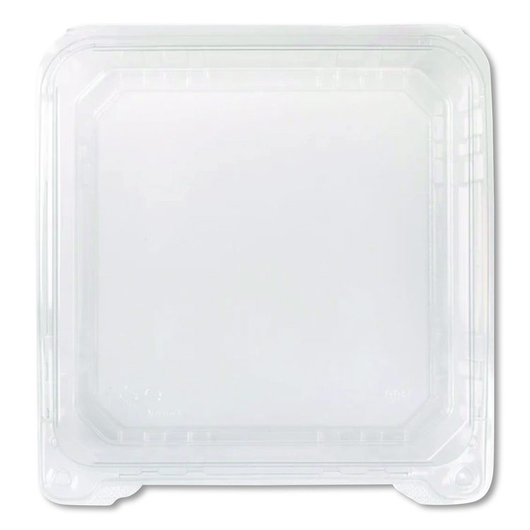 Polypropylene Plastic Hinged Container, 6 x 6 x 3.3, Clear, Plastic, 50/Pack, 6 Packs/Carton