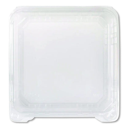 Polypropylene Plastic Hinged Container, 6 x 6 x 3.3, Clear, Plastic, 50/Pack, 6 Packs/Carton