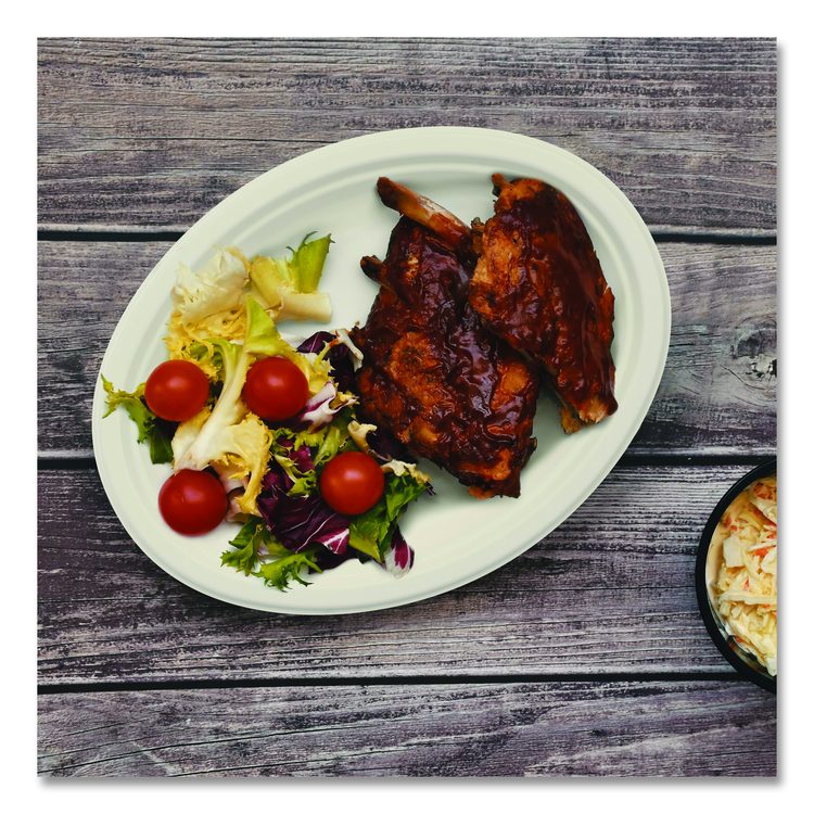 Compostable Molded Fiber Dinnerware, ProPlanet Seal, Platter, 10" Diameter, Natural, 500/Carton