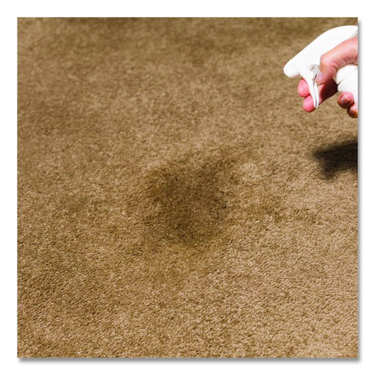 Professional Carpet Stain Remover Plus Deodorizer, Lemon Scent, 32 oz Spray Bottle, 6/Carton