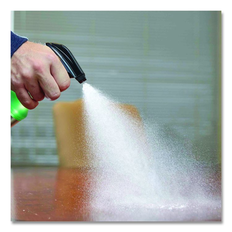 Professional General Purpose Cleaner, 32 oz Spray Bottle, 6/Carton