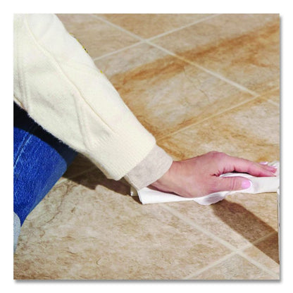 Professional Foaming Glass Cleaner Aerosol, 20 oz Aerosol Spray, 12/Carton