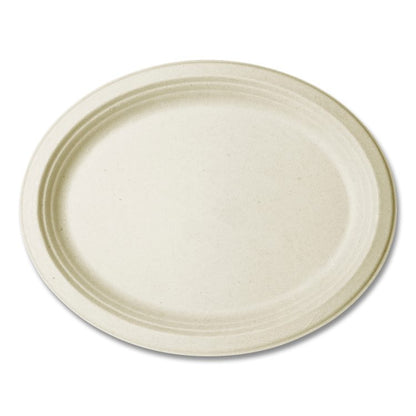 Nourish Molded Fiber Tableware, Compostable, Platter, Sugarcane, 8 x 10, White, 500/Carton