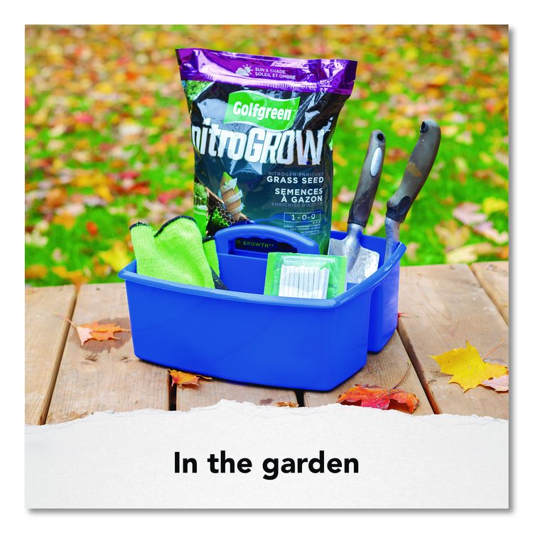 Large Storage Caddy, 11 x 13 x 6.38, Assorted Colors, 6/Carton