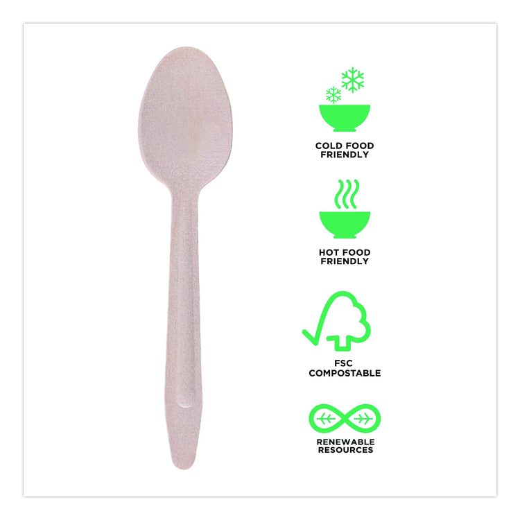 Wood Cutlery, General Purpose Spoon, Natural, 500/Carton