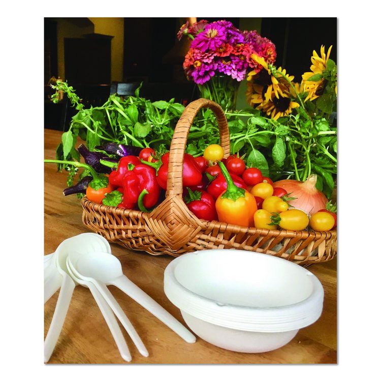 Plantware Compostable Soup Spoon, Heavyweight, Plastic, White, 50/Pack, 20 Packs/Carton