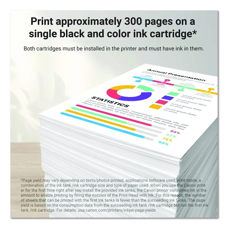 8278B023 (PG-245XL/CL-246XL) High-Yield Ink, Black/Color