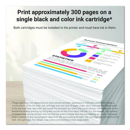 8278B023 (PG-245XL/CL-246XL) High-Yield Ink, Black/Color