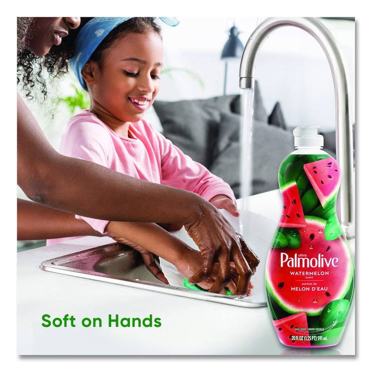 Dishwashing Liquid, Watermelon Scent, 20 oz Bottle, 9/Carton