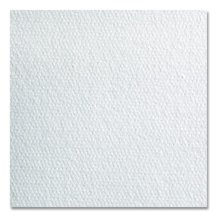Professional Cleaning Towels, 1-Ply, 12 x 13, White, 50/Pack, 18 Packs/Carton