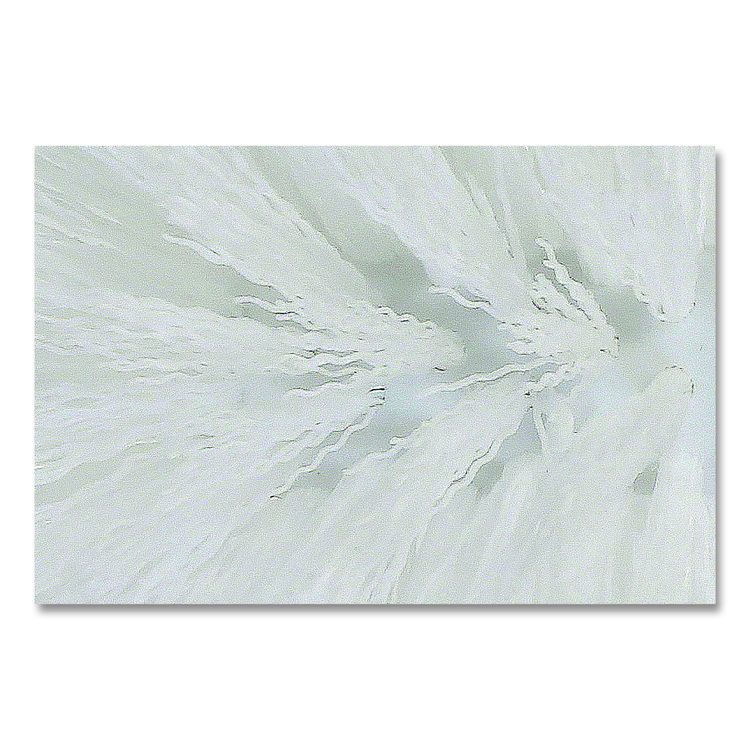 Spiral Bowl Brush, 13" Handle, White