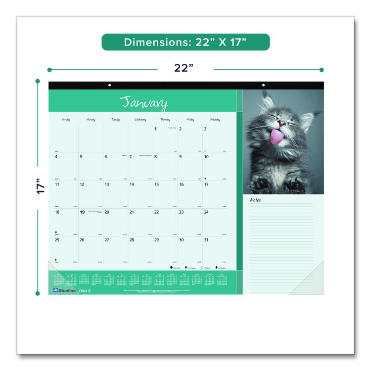 Pets Collection Monthly Desk Pad, Furry Kittens Photography, 22 x 17, White Sheets, Black Binding, 12-Month (Jan-Dec): 2026