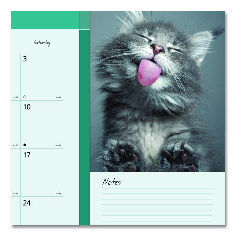 Pets Collection Monthly Desk Pad, Furry Kittens Photography, 22 x 17, White Sheets, Black Binding, 12-Month (Jan-Dec): 2026