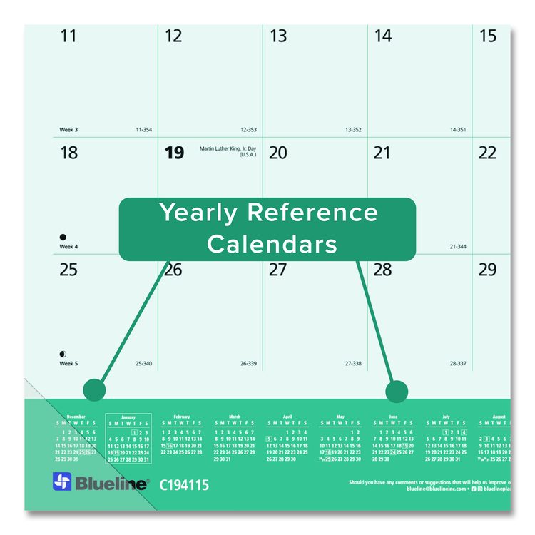 Pets Collection Monthly Desk Pad, Furry Kittens Photography, 22 x 17, White Sheets, Black Binding, 12-Month (Jan-Dec): 2026