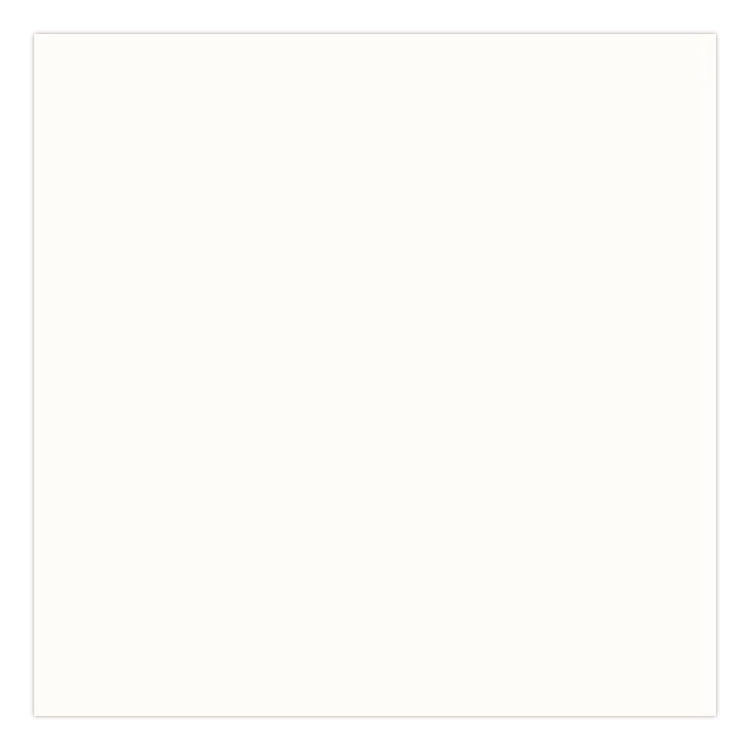 Universal Premium Spray Paint, Gloss White, 12 oz Aerosol Can