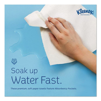 Universal Hard Roll Paper Towels with Premium Absorbency Pockets, 1-Ply, 8" x 600 ft, 1.75" Core, White, 6 Rolls/Carton