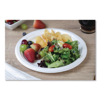 ChampWare Molded Fiber Tableware, Molded Fiber Plate, 10" dia, White, 125 Plates/Sleeve, 4 Sleeves/Carton