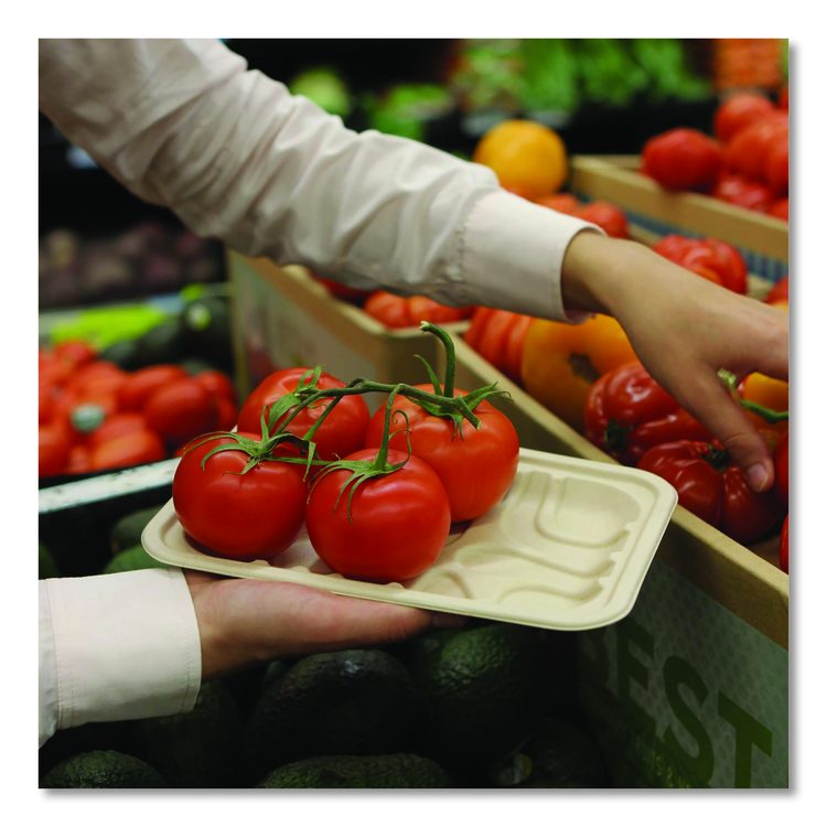Laminated Fiber Meat and Product Trays, PLA Lined, PFAS Free, 8.3 x 4.9 x 0.7, Natural, Paper, 500/Carton
