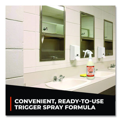 Pro Odor Control Ready-To-Use, Herbal, 32 oz Spray Bottle, 12/Carton