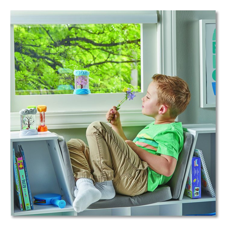 Changing Seasons Sensory Tubes, Ages 3 and Up, Assorted Colors, 4 Pieces