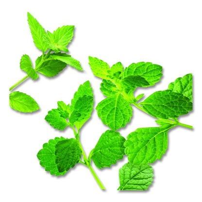 Mint Medley Herbal Tea, 28/Box