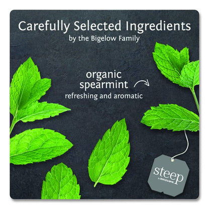 steep Tea, Mint, 1.41 oz Tea Bag, 20/Box
