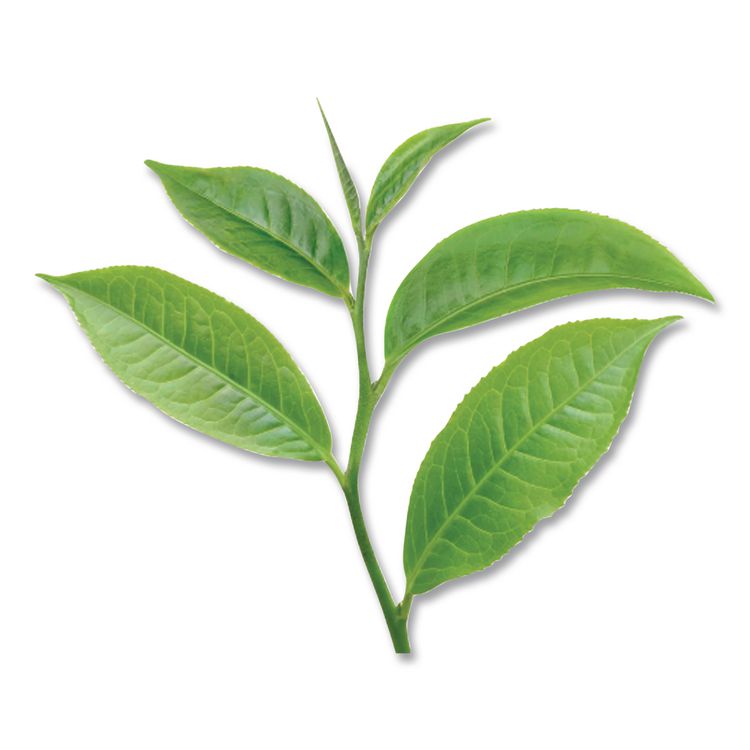 Decaffeinated Green Tea, Green Decaf, 0.34 lbs, 28/Box