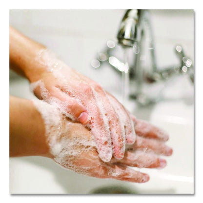 Antibacterial Defense Foaming Hand Wash, Spring Water Scent, 1 gal, 4/Carton