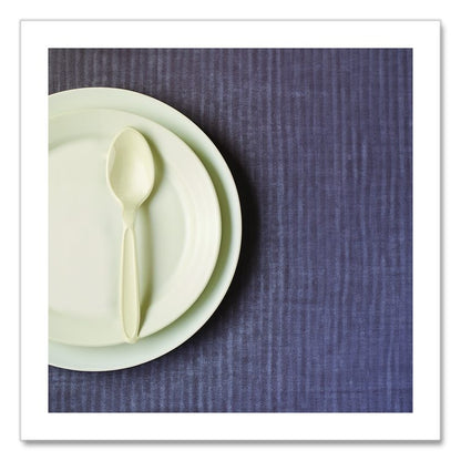 Reliance Mediumweight Cutlery, Spoon, Plastic, Champagne, 1,000/Carton