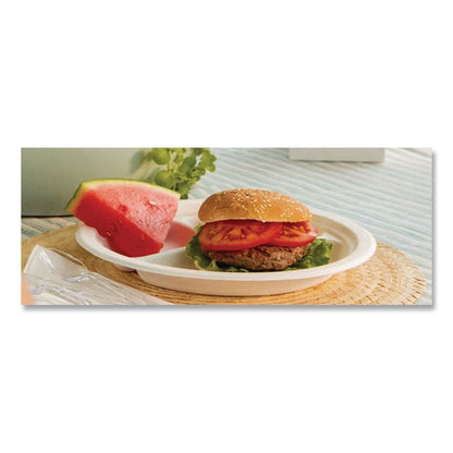 Paper Dinnerware, 3-Compartment Plate, 9.25" dia, White, 500/Carton